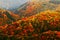 Beautiful orange and red autumn forest. Autumn forest, many trees in the orange hills, orange oak, yellow birch, green spruce