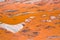 Beautiful orange riverbed texture background