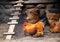 Beautiful orange rooster and chickens in a rustic chicken coop. Natural eggs and chicken meat concept, farming