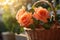 Beautiful orange roses in a basket on the table in the garden.Selective focus.light