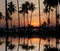 Beautiful orange sky with cloud behind the coconut trees