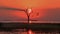 Beautiful orange sunset behind an old dead bare tree on Lake Kariba, Zimbabwe