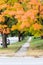 Beautiful orange tree in a quiet urban street with walk path