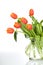 Beautiful orange tulips in glass vase - isolated