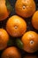 Beautiful oranges whole glistering with dew water droplet. flat lay top view. seamless macro closeup