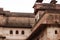 Beautiful orchaa ancient fort Jahangir palcae