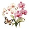 beautiful Orchid with butterfly clipart illustration