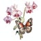 beautiful Orchid with butterfly clipart illustration