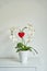 beautiful orchid plant in a white vase shaped as heart