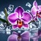 Beautiful orchids - ai generated image