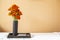 Beautiful ornage daisy flower in design black ceramic vase on wooden tray with the book on white bed sheet with space on empty ora