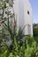 Beautiful ornamental plants around a white wall