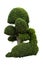 Beautiful ornamental tree, Green topiary tree, big bonsai, Suitable for use in architectural design or Decoration work isolated on