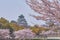 Beautiful Osaka Castle with Cherry Blossom