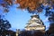 Beautiful Osaka Castle with nice background color