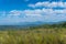 Beautiful outback landscape of South African bush, fynbos with mountains