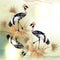 Beautiful outdoor background with birds in Chinese style