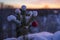 Beautiful outdoor photo of red christmas decoration ball in small snowy tree