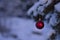 Beautiful outdoor photo of red christmas decoration ball in small snowy tree