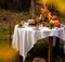 Beautiful outdoor still life in country garden with chocolate bundt cake on plate on round table