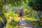 Beautiful outdoor view of a group of tourists walking in the nature, inside of Elephant jungle Sanctuary, surrounding of