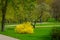 Beautiful outdoor view of trees and gress grass located in the park close to the river Svisloch in the Victory Park in