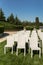 Beautiful outgoing wedding set up.Romantic wedding ceremony , wedding outdoor on the lawn water view. Wedding decor. White wooden