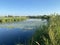 beautiful overgrown river in summer