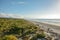 Beautiful Pacific Ocean scenery in Sheep Creek, New Zealand