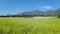 Beautiful paddy field and western ghats mountain range, kanyakumari, Tamil Nadu