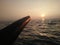 Beautiful Padma River Sunset In Bangladesh