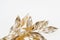 Beautiful painted golden mistletoe isolated