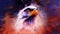 beautiful painting of eagle on an abstract background,color with spot structures. Loop Animation
