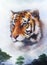 A beautiful painting tiger looking background