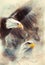 beautiful painting of two eagles on an abstract background Symbols of the USA