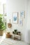 Beautiful paintings and plants at home. Idea for interior