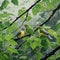 beautiful pair of birds sitting on a branch generated by AI tool