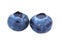 A beautiful pair of blueberries, isolated on a white background. Antioxidant berries. A close-up of ripe and fresh blueberries.