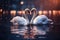 A beautiful pair of swans with their necks form a heart. Beautiful magical background.Mating games of a pair of white swans. Swans