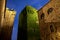 Beautiful palace and tower with climbing plant, CÃ¡ceres, Spain