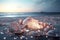 Beautiful pale pink large shells and pale pink conch on the beach