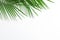 Beautiful palm leaves on white background, top view and space for text