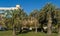 Beautiful palm tree Butia capitata, commonly known as jelly palm in Sochi park.