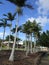 Beautiful palm trees flank the lovely lake at Clinton, Gladstone, Queensland