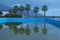 Beautiful palm trees near the swimming pool. You can see the building near the mountain. Marina di Patti. Sicily