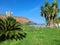 Beautiful palms and Drooping cycad plant in a garden with sea and mountain in the background