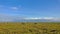A beautiful panorama of Amboseli Park in Kenya.