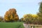 beautiful panorama of an autum landscape in germany with a large golden tree