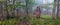 Beautiful panorama forest at foggy sunrise. Tree trunks and cold mist landscape