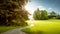 Beautiful panorama of green city park at dawn